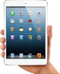 77537_04-iPads-10-2012.