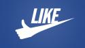 7759_1280-Like-this-page-Brands-on-facebook.