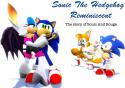 80883_sonic_the_hedgehog_reminiscent_sonic_and_rouge.