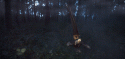 82288_Golden-Pheasant-Short.