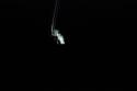 8339DSC_0052.