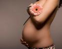 83441326721257_pregnant-woman-with-flower.