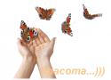 83954_butterfly-hands-stock.