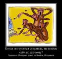 84992704_kogda-ne-gruzyatsya-stranitsyi-tyi-vedyosh-sebya-po-drugomu_demotivators_ru.