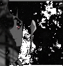 85976_tumblr_m2wxhzfFG11r2uvl2o1_250.