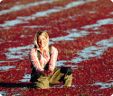 87650_main-image-cranberry-harvest.