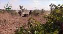 87825_Hama__Conquest_Army_fighters_in_a_field_near_Maan_village__Clashes__AjnadSham_-01.