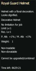 88491_helmet.