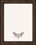 90085_Panel.