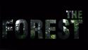 91293_The-Forest-Game-Trailer.