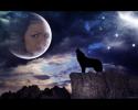 92202_Dark_Moon_Howling_Wolf_by_TaladarkieJJ.