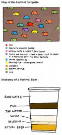 92586_funny-musical-festival-camp-charts.