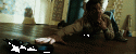 99046_tumblr_lsb56itvjS1r3dt3yo1_500.